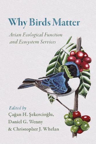 Cover image for Why Birds Matter: Avian Ecological Function and Ecosystem Services