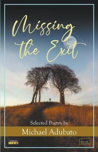 Cover image for Missing the Exit