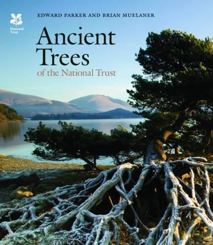 Cover image for Ancient Trees of the National Trust