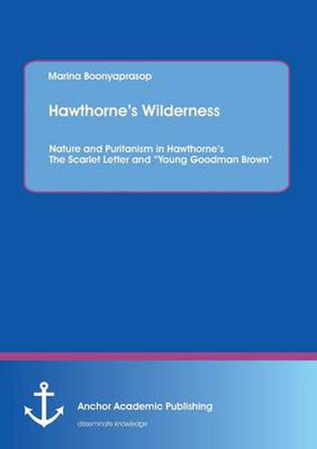 Cover image for Hawthorne's Wilderness: Nature and Puritanism in Hawthorne's the Scarlet Letter and Young Goodman Brown