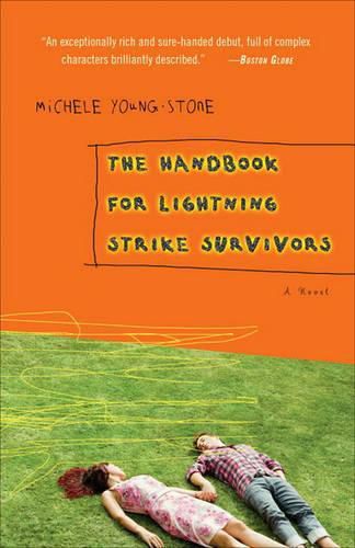 Cover image for The Handbook for Lightning Strike Survivors