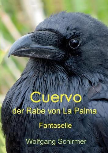 Cover image for Cuervo - der Rabe von La Palma: Fantaselle