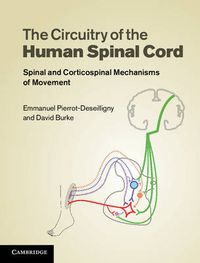 Cover image for The Circuitry of the Human Spinal Cord: Spinal and Corticospinal Mechanisms of Movement