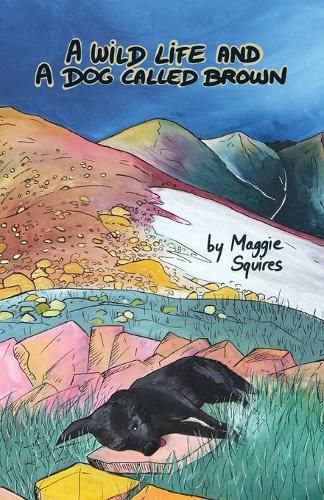 Cover image for A Wild Life And A Dog Called Brown