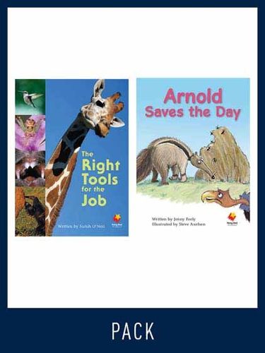 Cover image for Flying Start Guided Reading Level 22, Pack 3: Paired student books (6x6) and lesson plan (1)