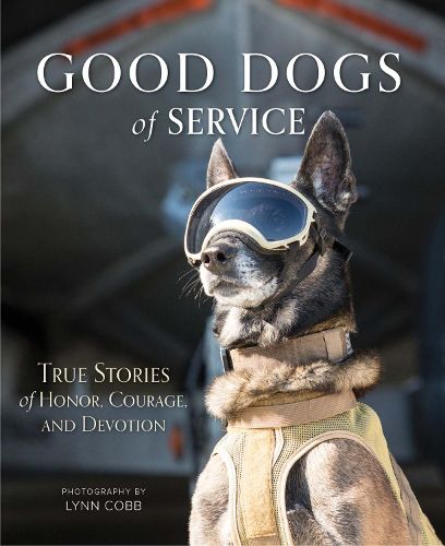 Cover image for Good Dogs of Service: True Stories of Honor, Courage, and Devotion