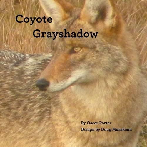 Cover image for Coyote Grayshadow