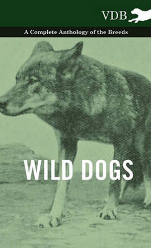 Cover image for Wild Dogs - A Complete Anthology of the Breeds