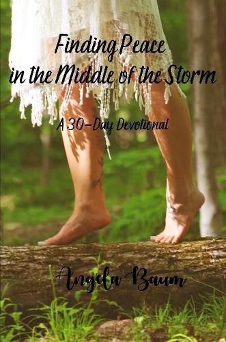 Cover image for Finding Peace in the Middle of the Storm