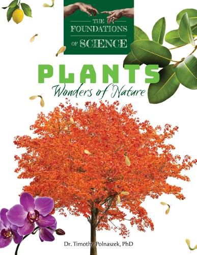 Cover image for Plants: Wonders of Nature