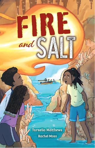 Cover image for Fire and Salt