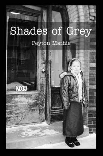 Cover image for Shades of Grey