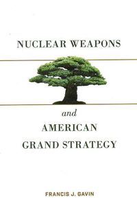 Cover image for Nuclear Weapons and American Grand Strategy