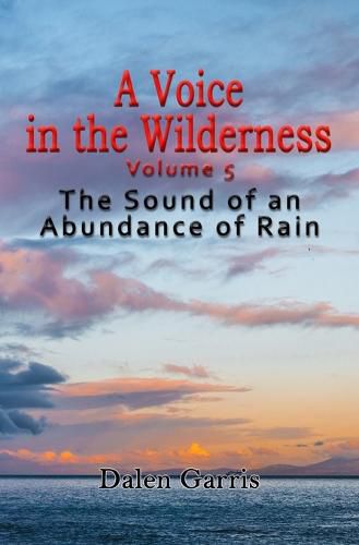 Cover image for A Voice in the Wilderness - the Sound of an Abundance of Rain