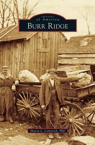 Cover image for Burr Ridge