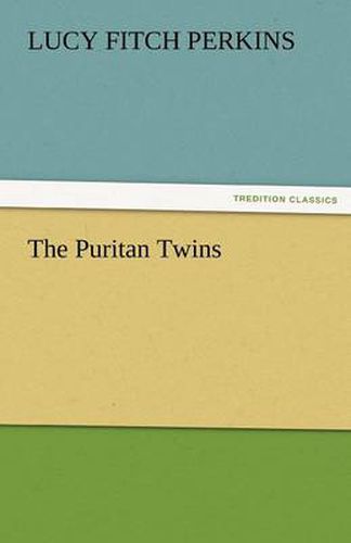 Cover image for The Puritan Twins