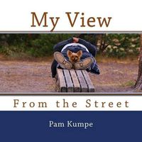 Cover image for My View from the Street