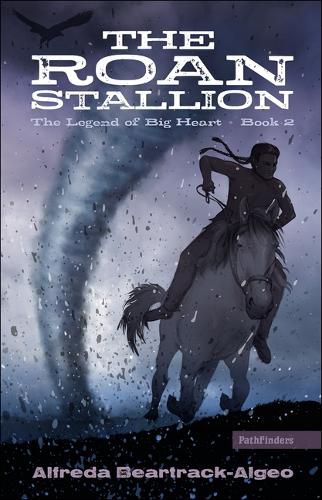 Cover image for Roan Stallion