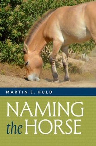 Cover image for Naming the Horse