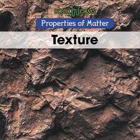 Cover image for Texture