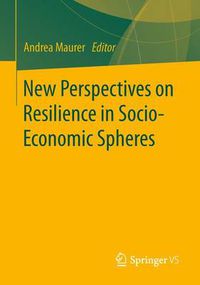 Cover image for New Perspectives on Resilience in Socio-Economic Spheres