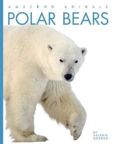 Cover image for Polar Bears