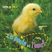 Cover image for Cycle de Vie: La Poule Et l'Oeuf