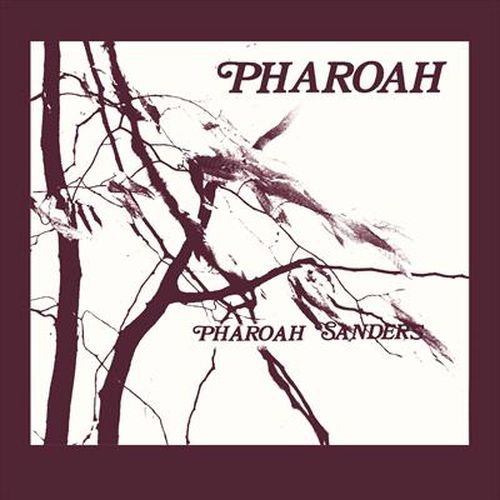 Cover image for Pharoah 