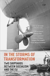 Cover image for In the Storms of Transformation