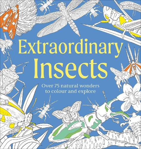 Cover image for Extraordinary Insects Colouring Book