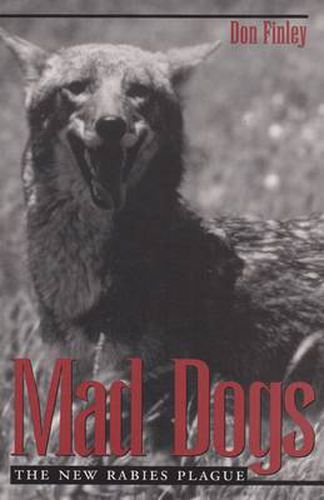 Cover image for Mad Dogs: New Rabies Plague