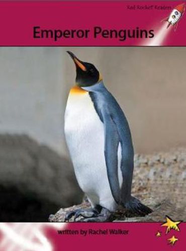 Cover image for Red Rocket Readers: Advanced Fluency 3 Non-Fiction Set A: Emperor Penguins (Reading Level 28/F&P Level S)