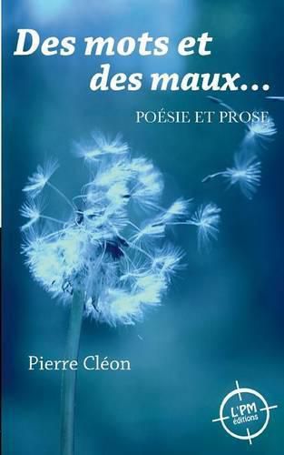 Cover image for Des mots et des maux
