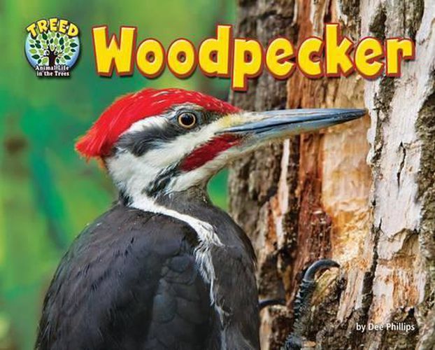 Woodpecker