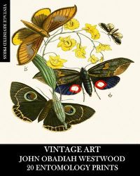 Cover image for Vintage Art: John Obadiah Westwood 20 Entomology Prints: Fauna and Flora Ephemera for Framing, Collage and Decoupage