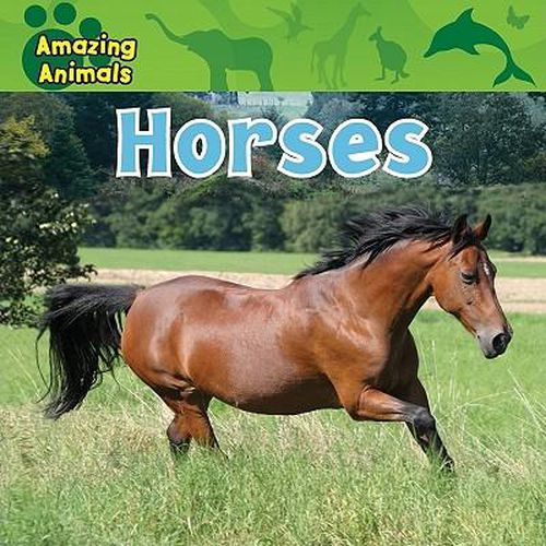 Cover image for Horses