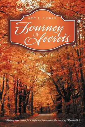 Cover image for Journey of Secrets