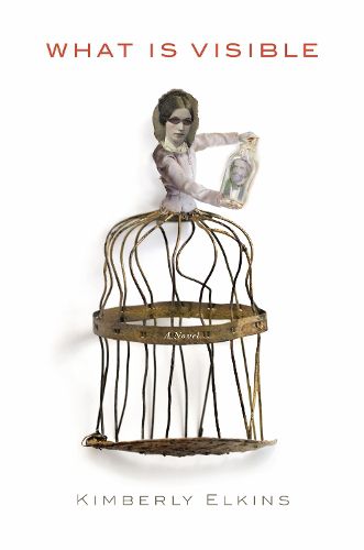 Cover image for What is Visible: A Novel