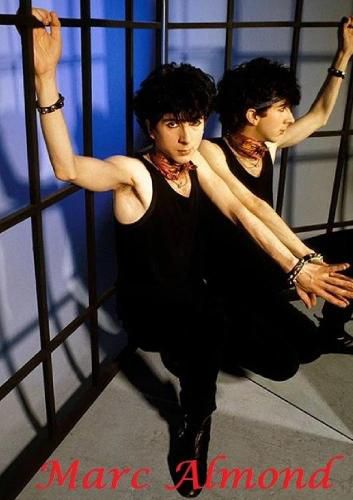 Cover image for Marc Almond : Soft Cell