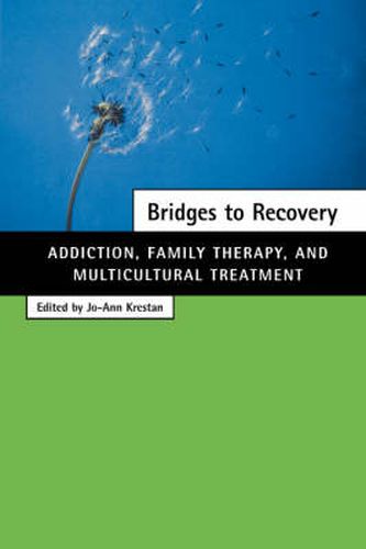 Cover image for Bridges to Recovery: Addiction, Family Therapy, and Multicultural Treatment