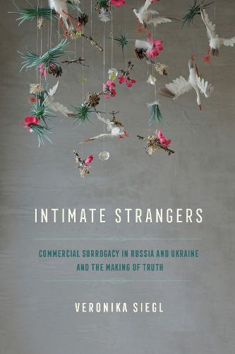 Cover image for Intimate Strangers
