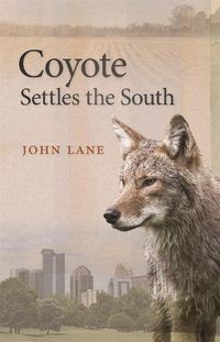 Cover image for Coyote Settles the South