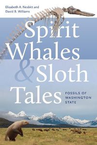 Cover image for Spirit Whales and Sloth Tales