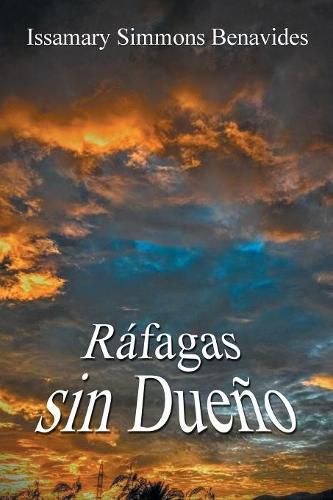 Cover image for Rafagas Sin Dueno