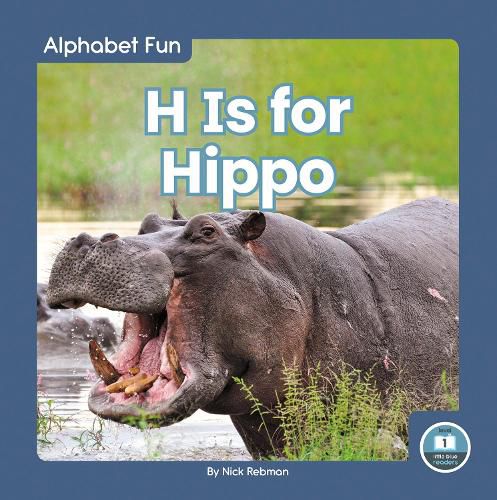 Cover image for Alphabet Fun: H is for Hippo