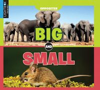 Cover image for Big and Small