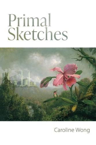 Cover image for Primal Sketches