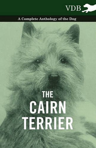 Cover image for The Cairn Terrier - A Complete Anthology of the Dog -