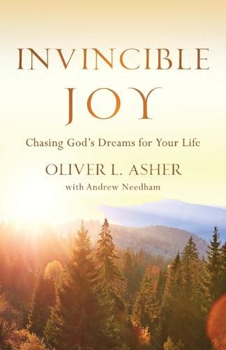 Cover image for Invincible Joy