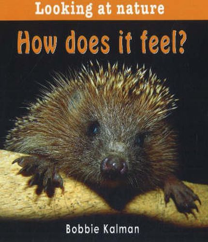 Cover image for How Does It Feel